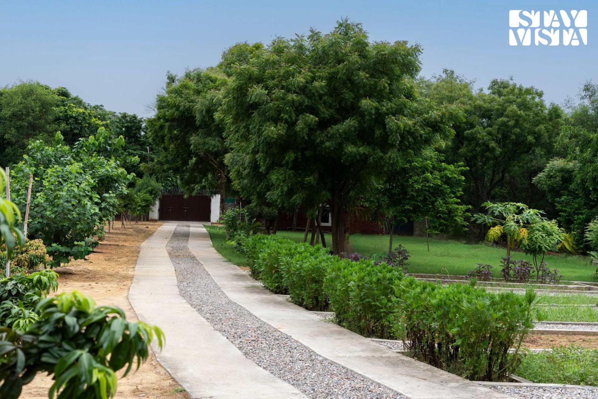 Stayvista At Idyllic Farmhouse - A Glasshouse With Outdoor Pool Gurgaon Bagian luar foto